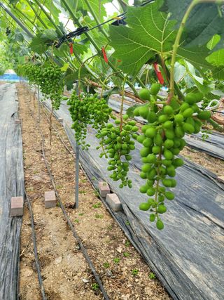 이원규님의 작성글 사진