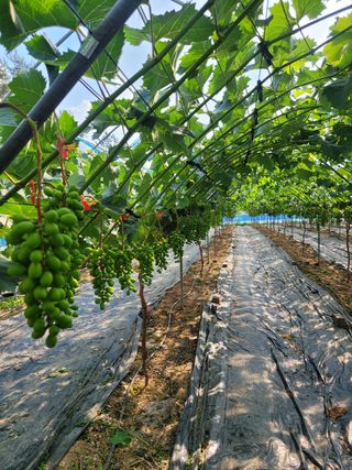 이원규님의 작성글 사진