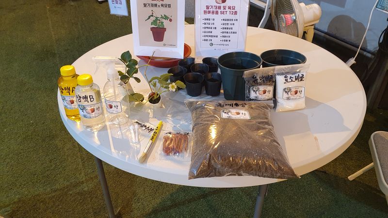 유창남님의 장터 판매 상품 [산지직송설향딸기1키로(500g*2팩) 농촌체험장운영, 네이버 미주딸기농장 검색후 주문하시면추가혜택] 첨부 사진