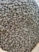 팜모닝 콩·자유게시판 게시글 이미지