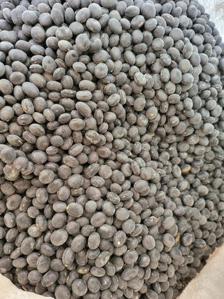 이행연님의 콩 · 자유게시판 작성글 사진