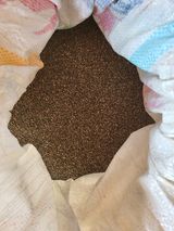 팜모닝 들깨·자유게시판 게시글 이미지