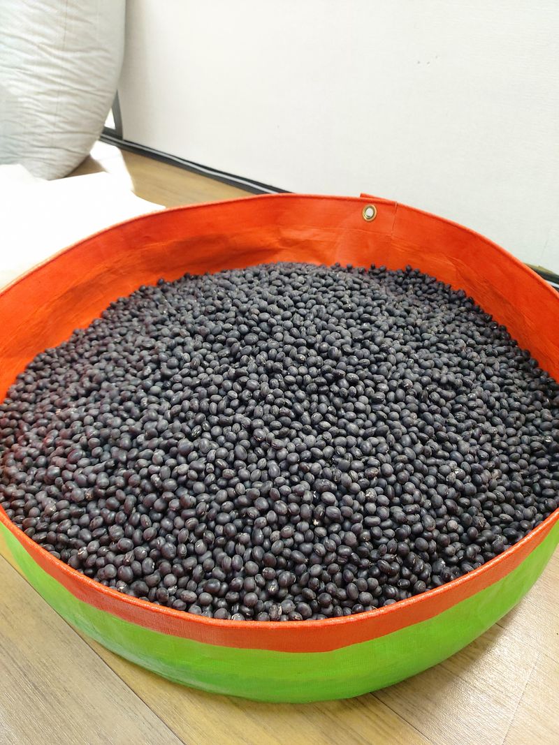 정택희님의 장터 판매 상품 [새바람] 첨부 사진