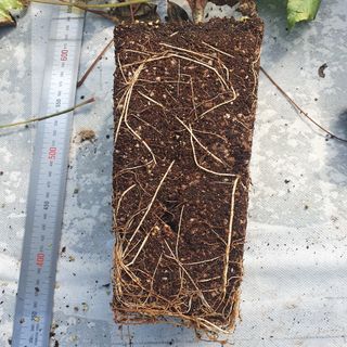 이기자농장님의 작성글 사진