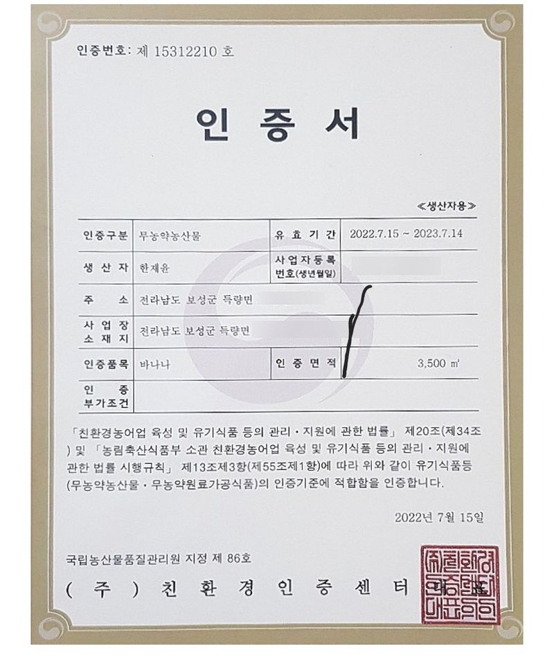 임선희님의 장터 판매 상품 [바나나(국산:보성) 1kg] 첨부 사진