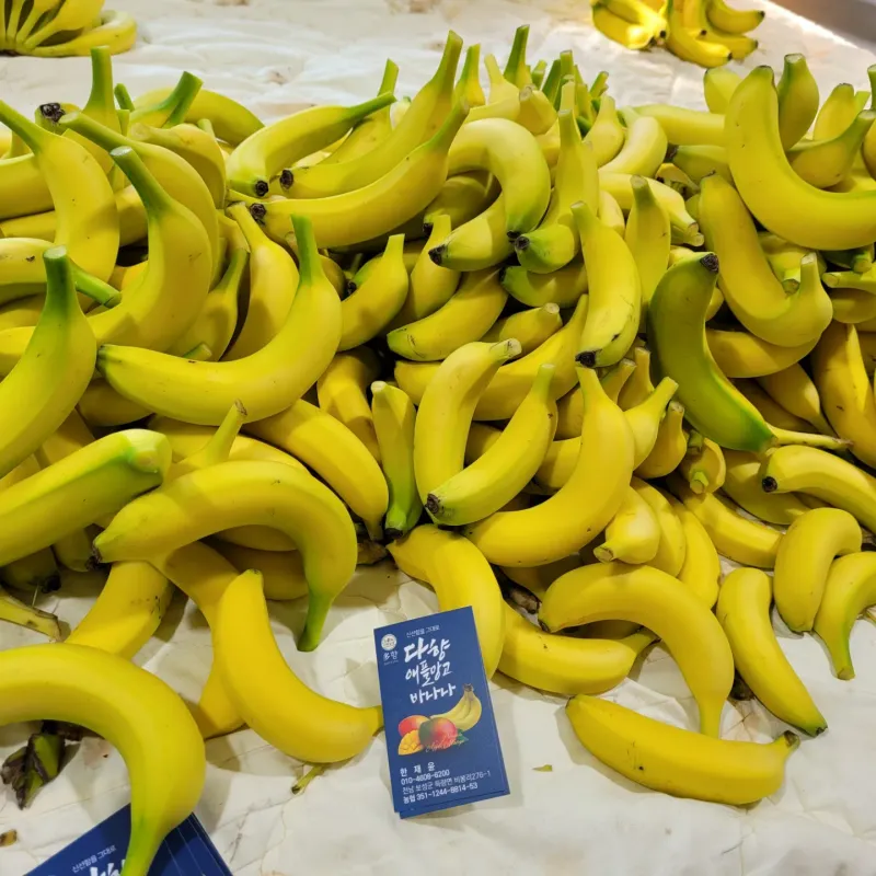장터 상품 [바나나(국산:보성) 1kg] 썸네일