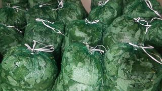 이기자농장님의 작성글 사진