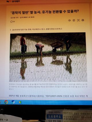 병천사랑님의 벼 · 자유게시판 작성글 사진