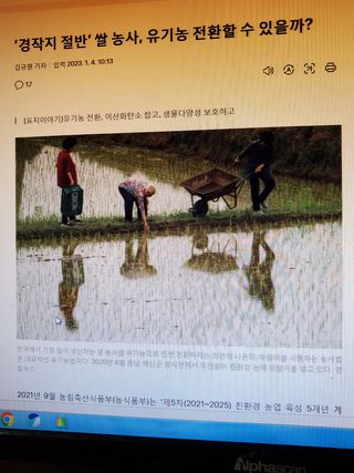 병천사랑님의 벼 · 자유게시판 작성글 사진