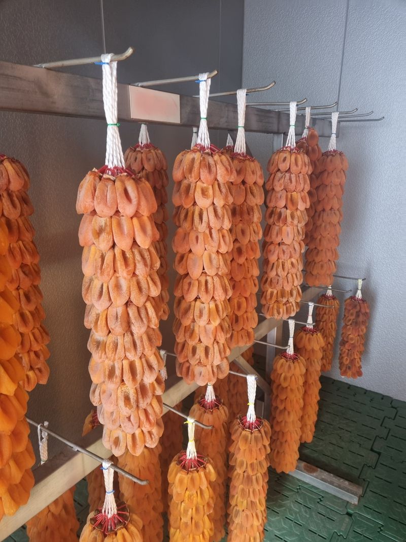 장터 상품 [함양고종시 100개 한접 팝니다] 썸네일