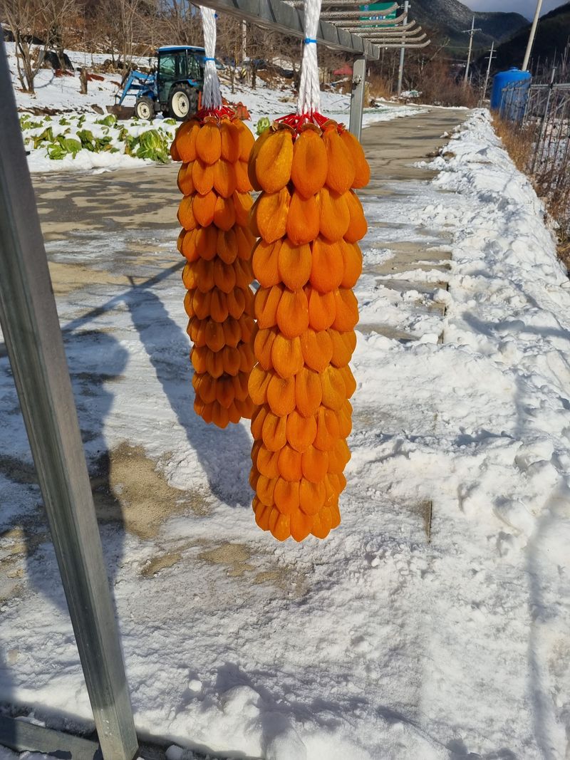 사과와곶감님의 장터 판매 상품 [함양고종시 100개 한접 팝니다] 첨부 사진