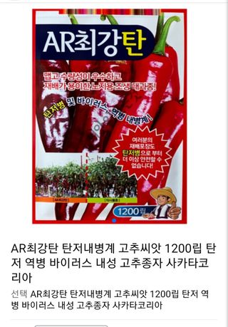 물꼴장성호님의 고추 · 품종•종자 작성글 사진