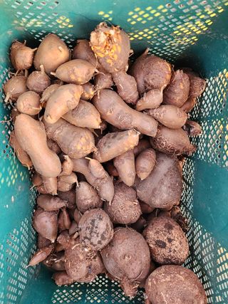 조평환님의 작성글 사진