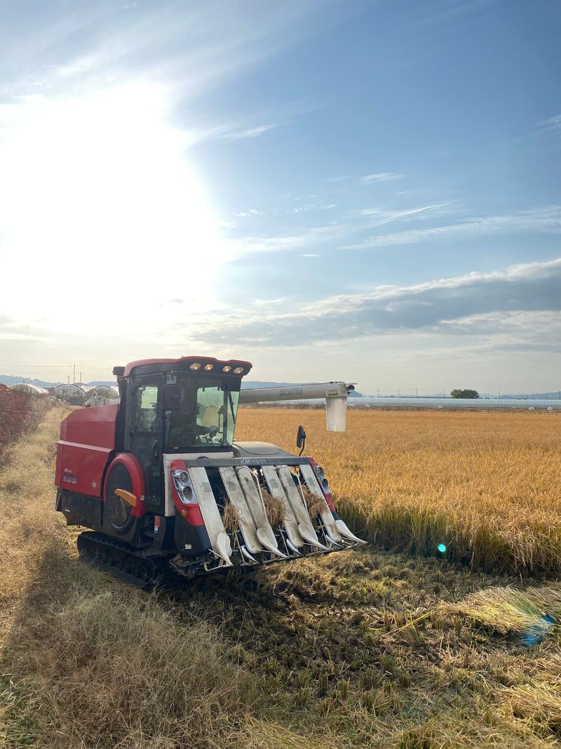 한밭쌀농장님의 장터 판매 상품 [22년산 백미 20kg 10kg판매합니다] 첨부 사진