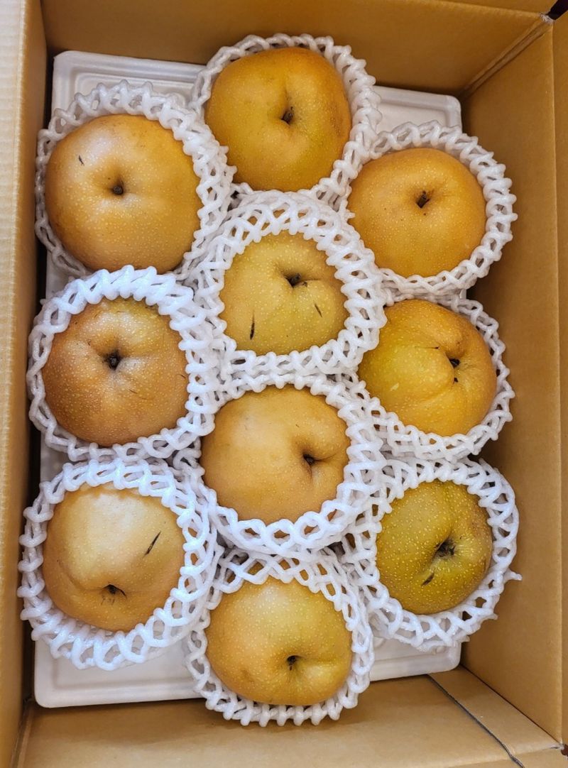 일향 님의 장터 판매 상품 [신고배 7.5kg [판매완료]] 첨부 사진