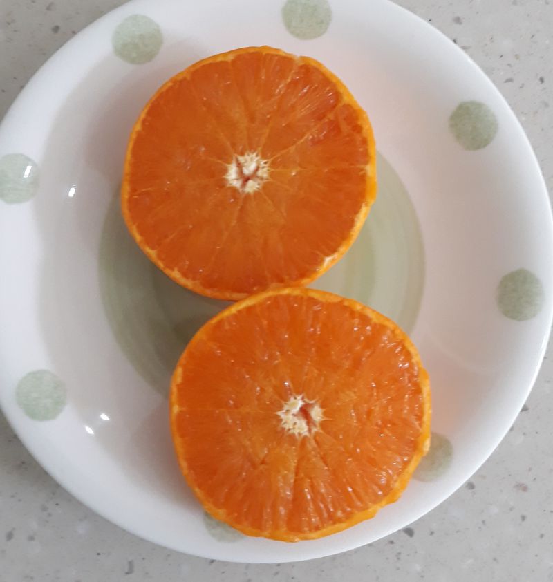 강창민님의 장터 판매 상품 [천혜향  5kg] 첨부 사진