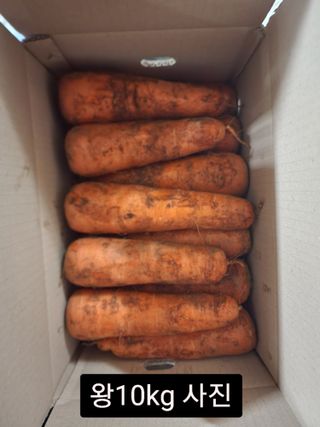 김태환님의 작성글 사진