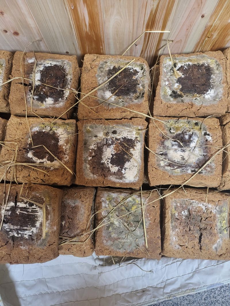 장터 상품 [전통된장,찹쌀고추장,청국장,각각 1kg 20,000원 집간장2L 30,000원  서리태옻된장1kg 50.000원] 썸네일