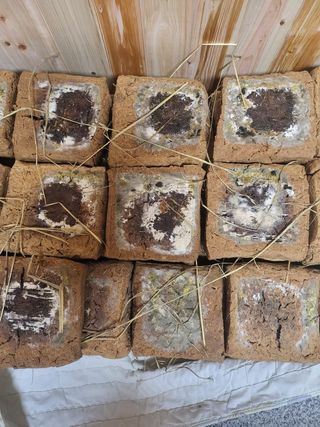 김경순님의 작성글 사진