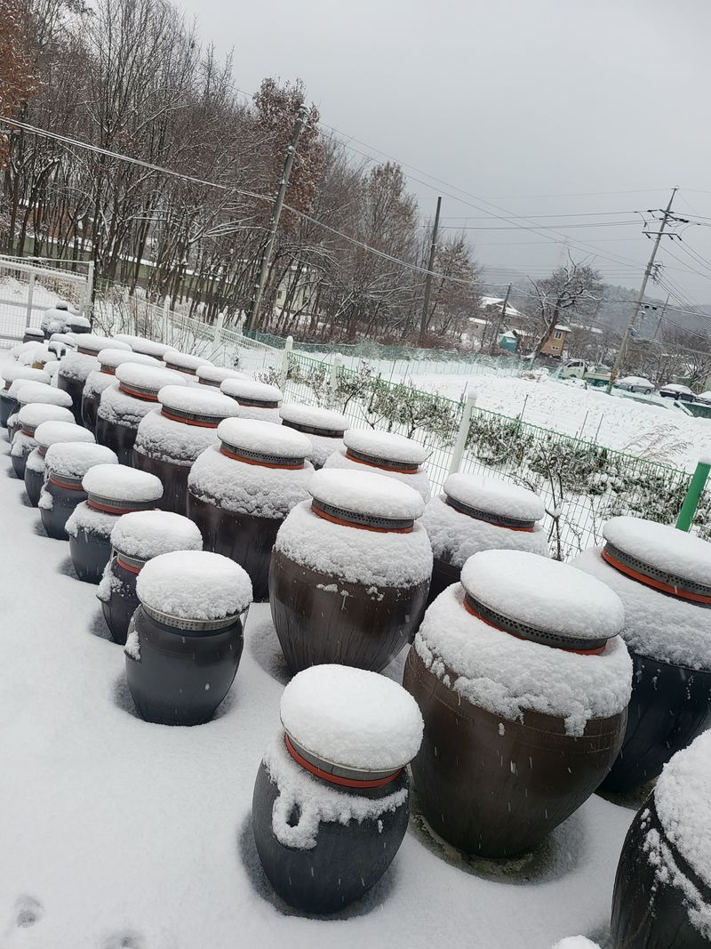 김경순님의 장터 판매 상품 [전통된장,찹쌀고추장,청국장,각각 1kg 20,000원 집간장2L 30,000원  서리태옻된장1kg 50.000원] 첨부 사진