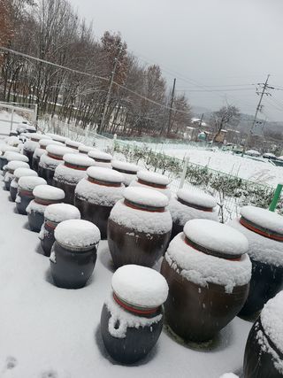 김경순님의 작성글 사진