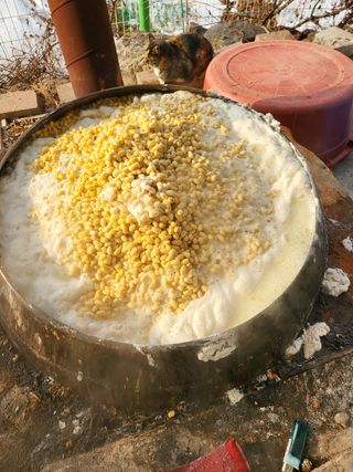 김경순님의 작성글 사진