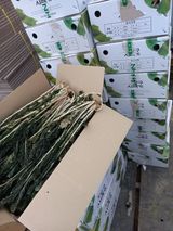 팜모닝 · 게시글 이미지