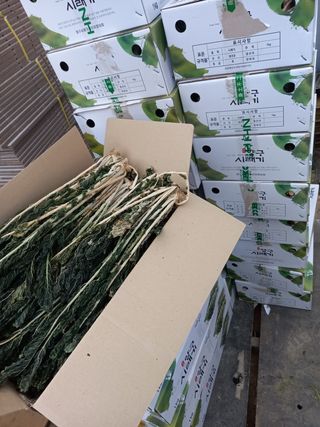 소양강님의 작성글 사진