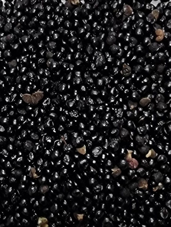 장터 상품 [신토불이  햇 산초씨앗 ] 썸네일