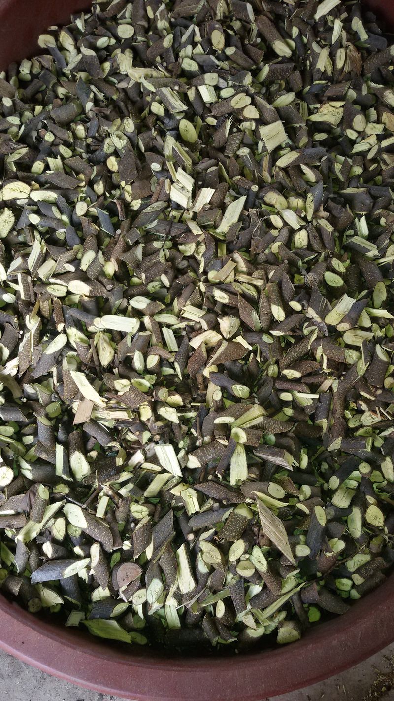 장터 상품 [꾸지뽕가지300g] 썸네일