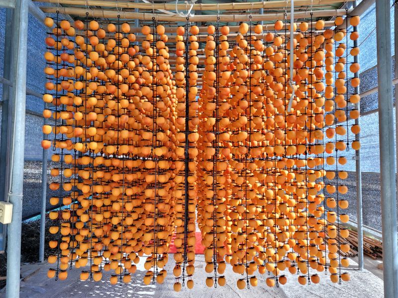 장터 상품 [자연건조 상주곶감(건시/반건시)] 썸네일