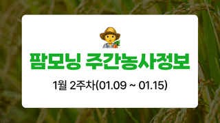 벼 농사도우미님의 벼 · 농사길잡이 작성글 사진