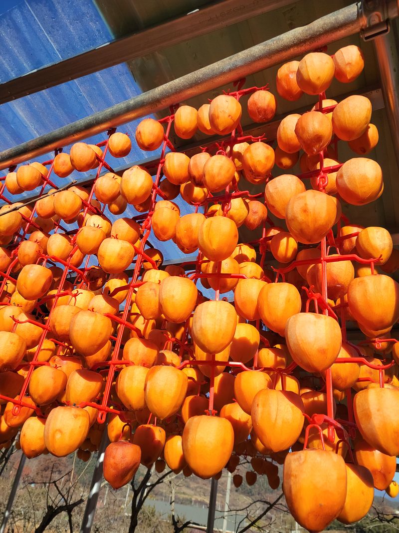 산골촌부님의 장터 판매 상품 [자연건조 대봉곶감 선물셑] 첨부 사진