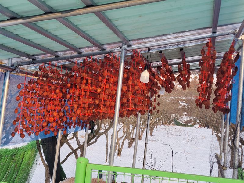 장터 상품 [자연건조 대봉곶감 선물셑] 썸네일