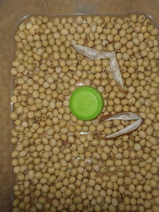 신선고을농원님의 작성글 사진