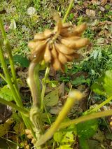 팜모닝 · 게시글 이미지