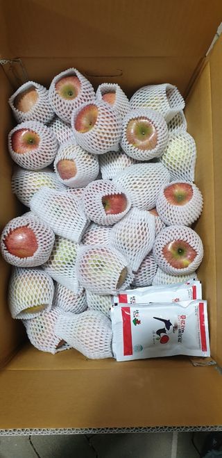 호랑이와인성이님의 사과 · 저장•가공 작성글 사진