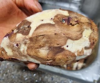 알 수 없음님의 고구마 · 자유게시판 작성글 사진