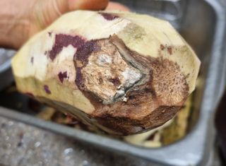 알 수 없음님의 고구마 · 자유게시판 작성글 사진