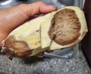 알 수 없음님의 고구마 · 자유게시판 작성글 사진