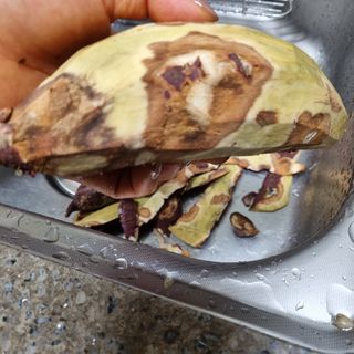 알 수 없음님의 고구마 · 자유게시판 작성글 사진