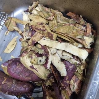 알 수 없음님의 고구마 · 자유게시판 작성글 사진