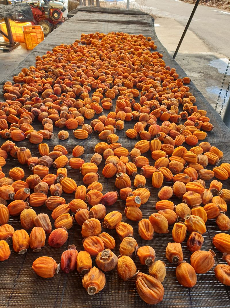 세미골곶감님의 장터 판매 상품 [중품  2호  50개~55개   2.2kg  이상 박스무게포함] 첨부 사진