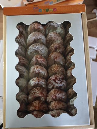 세미골곶감님의 작성글 사진