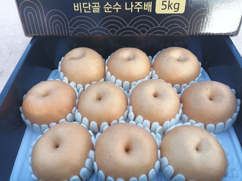 장터 상품 [나주배(신고) 5kg] 썸네일