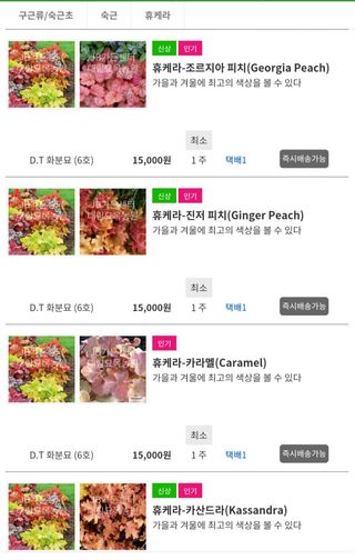 나무 천재님의 기타작물 · 자유게시판 작성글 사진