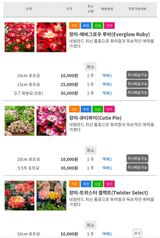 팜모닝 기타작물·자유게시판 게시글 이미지