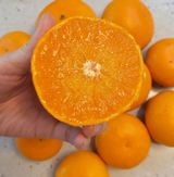 팜모닝 · 게시글 이미지