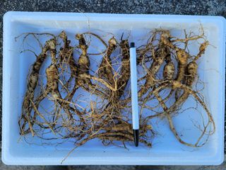 신재용님의 기타작물 · 자유게시판 작성글 사진