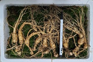 신재용님의 기타작물 · 자유게시판 작성글 사진